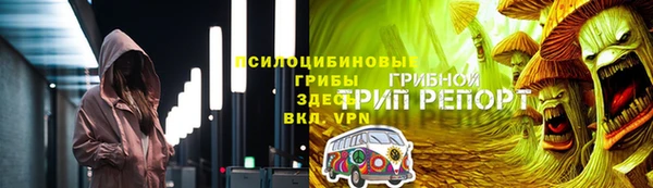 spice Богданович