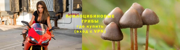 первитин Бородино