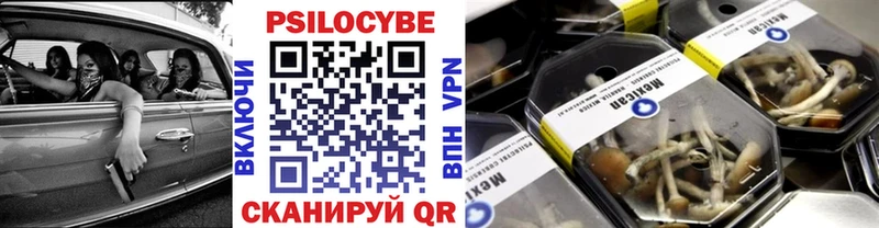 Псилоцибиновые грибы Cubensis Назарово